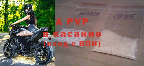 стафф Алзамай
