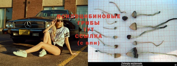 твердый Алексин