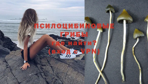 стафф Алзамай
