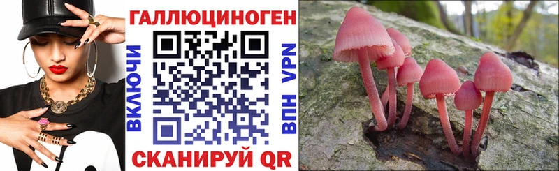 сколько стоит  Усть-Кут  Галлюциногенные грибы Magic Shrooms 